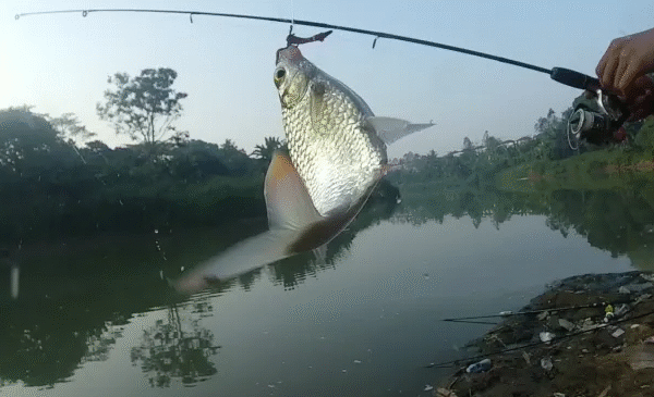 Spot Memancing Terbaik di Banten, Destinasi yang Wajib Dikunjungi