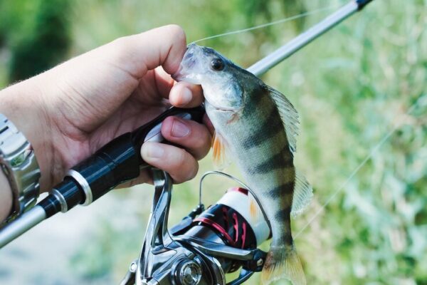 7 Spot Memancing di Tegal yang Juga Cocok untuk Rekreasi