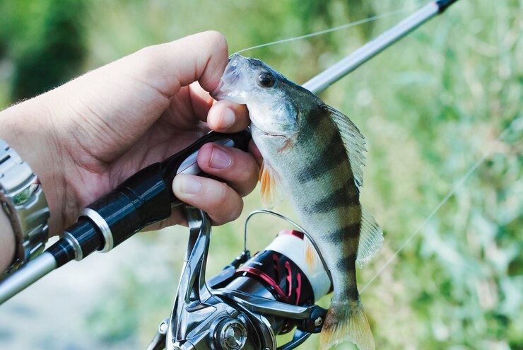 7 Spot Memancing di Tegal yang Juga Cocok untuk Rekreasi